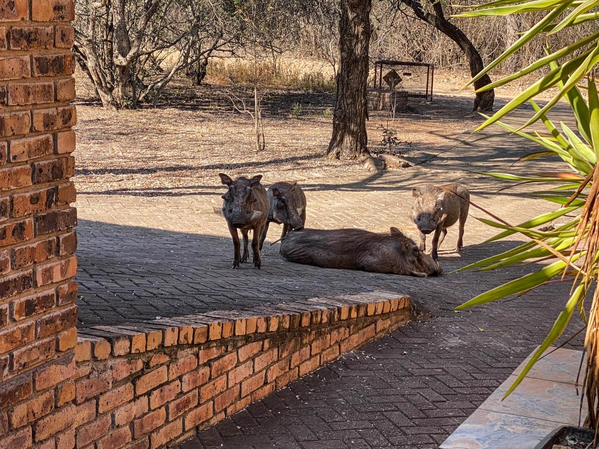 Hakuna Matata マールロス・パーク エクステリア 写真